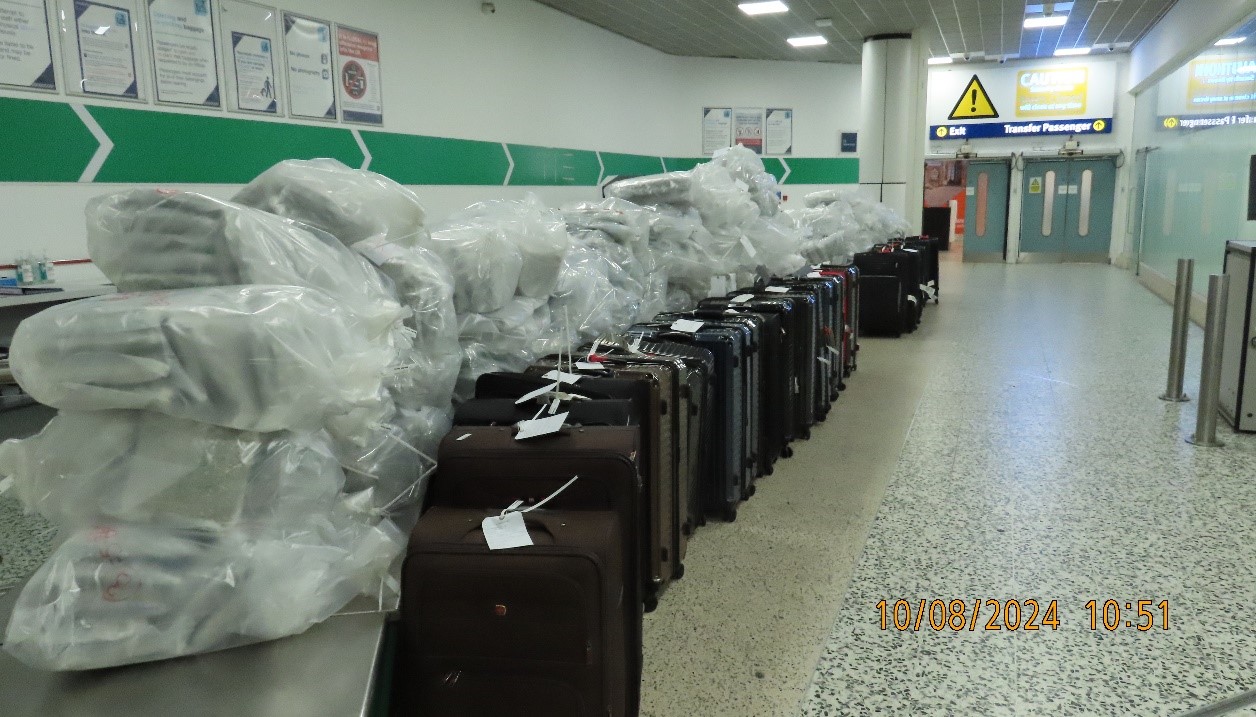 All the seized suitcases and extracted cannabis